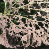 0309F 03 Bessere Zeiten